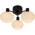 Aneta Lighting Aneta LightingPlafond BellSvartTakpendlerFra Homeroom