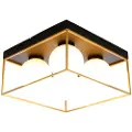 Aneta Lighting Aneta LightingPlafond ASTROSvartPlafonderFra Homeroom