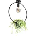 QAZQA Moderne taklampe sort med glass rund - Roslini