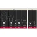 Paulmann 28805, 4,9 W, GU5.3, 440 lm, 15000 timer