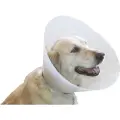 Trixie Hundekrave, L: ø 44–50 cm/25 cm