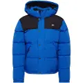 Dickies Glacier View Jakke