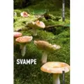 CSBOOKS DANMARKS NATUR Svampe | Torben Gang Rasmussen | Språk: Dansk