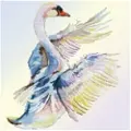 Diamond Dotz 51 x 51 cm - Svane yndefuld landing