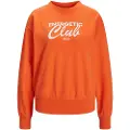 Jack & Jones Beatrice Loose Vint Jjxx Collegegenser