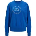 Jack & Jones Beatrice Loose Vint Jjxx Collegegenser
