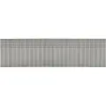 Makita F-31902, Brads (spiker), Galvanisert metall, Tre, Flathode, Metallisk, 32 mm