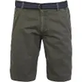 Protest Fan Shorts