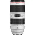 Canon EF 70-200mm f/2.8L IS III USM