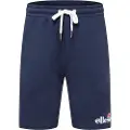 Ellesse Silvan Fleece Shorts