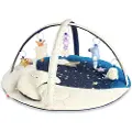 Skip Hop Celestial Dreams Aktivitetsgym