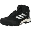 Adidas Terrex Winter Mid Boa Rain.rdy Tursko