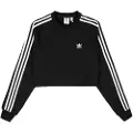 Adidas Originals Collegegenser