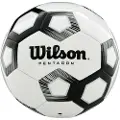 Wilson Wilson Pentagon fotball WTE8527XB hvit 3