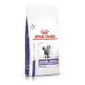 Royal Canin Expert Feline Mature Consult - 10 kg