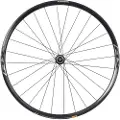 Shimano Rx010 Cl Disc Tubular Landeveissykkelens Bakhjul