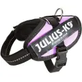 JULIUS K-9 Idc Power Baby Hundesele