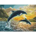 Diamond Dotz Squares 32 x 42 cm - Delfiner solnedgang