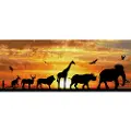 Diamond Dotz 72 x 29 cm - afrikansk himmel