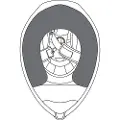 AGV Compact/numo St Kinnputer