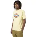 Dickies Icon Logo Kortarmet T-skjorte