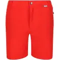 Regatta Mountain Ii Shorts