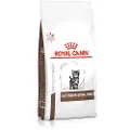Royal Canin Mage-tarmkaninmat For Kattunger 2kg