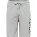 Alpha industries Jersey Shorts