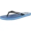 Quicksilver Molokai Faded Flip-flops