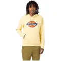 Dickies Icon Logo Hetteskjorte