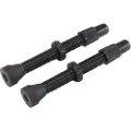 VAR Alloy Presta Ventiler 2 Enheter