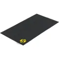 Saris Trainer Matte