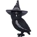 Nemesis Now Cult Cuties Owlocen-figur 30 Cm