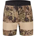 Hurley Exp Phntm+ Trek Ii Apex 17.5´´ Sports Shorts
