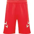 Hummel Lead Poly Shorts