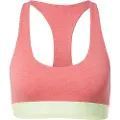 Superdry Large Logo Crop Lette Sport-bh