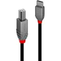 Lindy - USB-C cable - 24 pin USB-C to USB Type B - 3 m