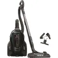 Electrolux PC91-8STM, 650 W, Sylindervakuum, Tørr, Uten pose, Filtrering, 72 dB