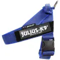 Julius-K9 K9 C&G IDC Bæltesele, str.: 0, blå, brystmål 58-76 cm