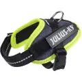 JULIUS K-9 Idc Power Hundesele