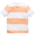 Tom Tailor 1031776 Kortermet Poloskjorte