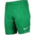 Nike Dri-fit Dh8408 Shorts