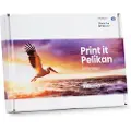 Pelikan Epson T181640 Kompatible Blekkpatroner