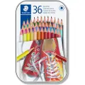 Staedtler 175 - Fargeblyant - assorterte farger (en pakke 36)