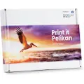 Pelikan Brother Lc3217 Kompatible Blekkpatroner