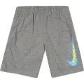 Nike Kids Hbr Shorts