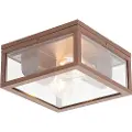 QAZQA Industriell taklampe rustbrun IP44 2-lys - Charlois