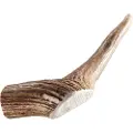 Chewies hjorte-gevirstang - 2 x Størrelse M