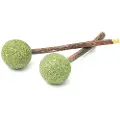 Aumuller Silver Vine Dental-leke Lolli - 1 Set (2 Stk)