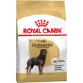 Royal Canin Økonomipakke: 2 Store Poser Royal Canin Breed - Rottweiler Adult (2 x 12 kg)